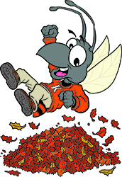 Buzz jumping in a pile of leaves